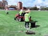 足球场草坪专业养护服务3.jpg